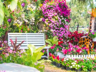 un joli jardin - decorer sa maison