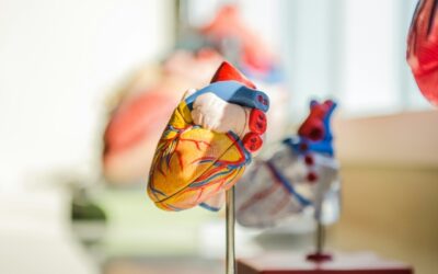 maladies cardiovasculaires