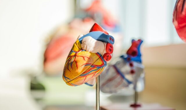 maladies cardiovasculaires