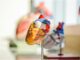maladies cardiovasculaires