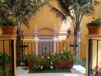 Aménagement de terrasse