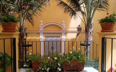 Aménagement de terrasse