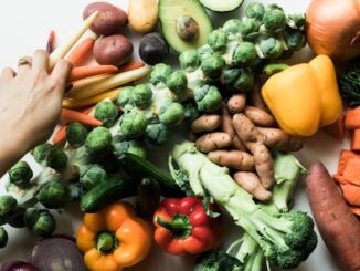Nutrition végétarienne